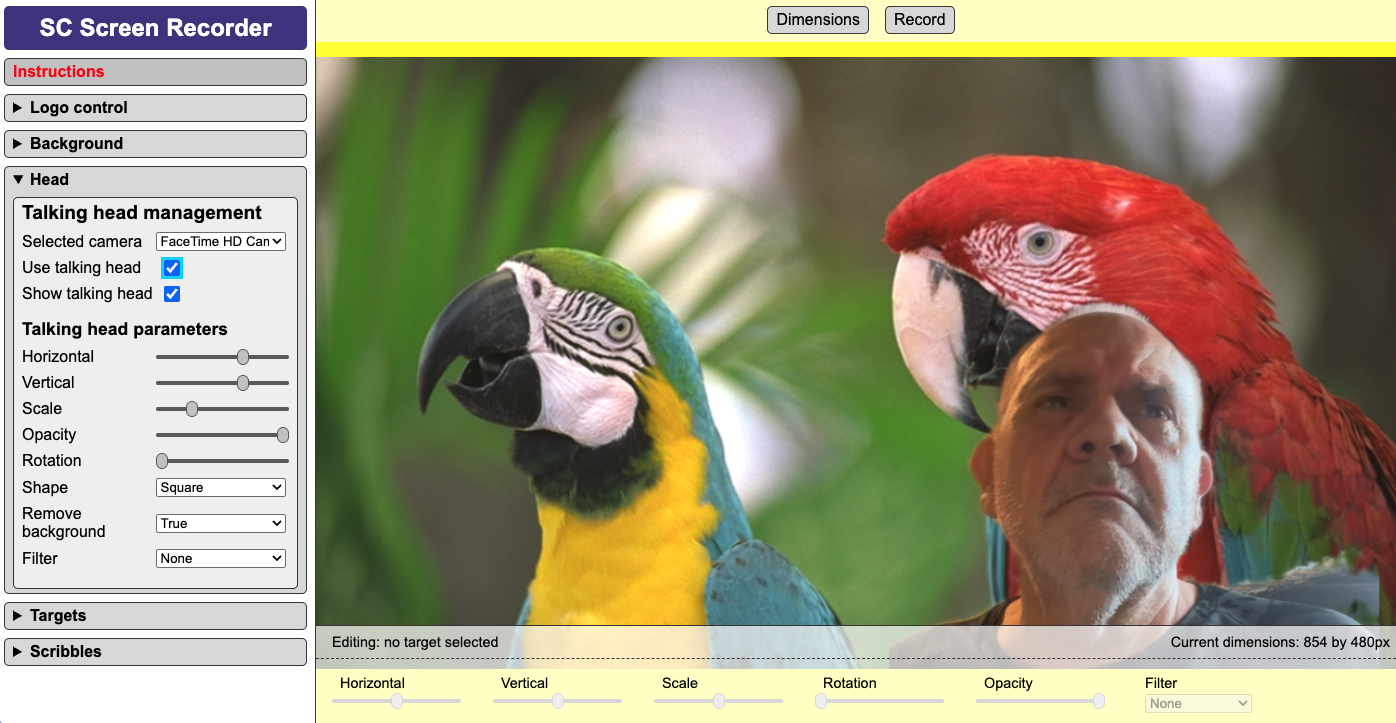 Screenshot - talking head panel