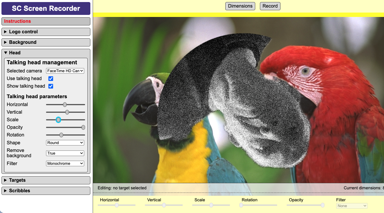 Screenshot - talking head display options